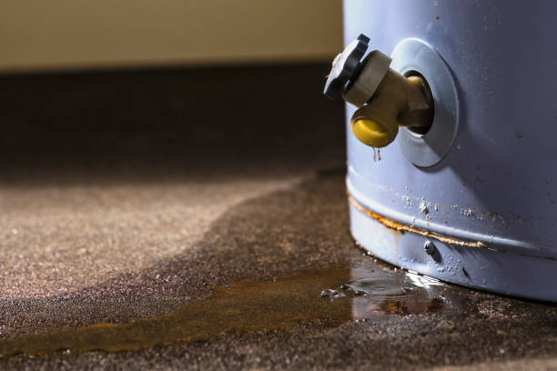 Best Water damage cleanup near me  in East San Gabriel, CA