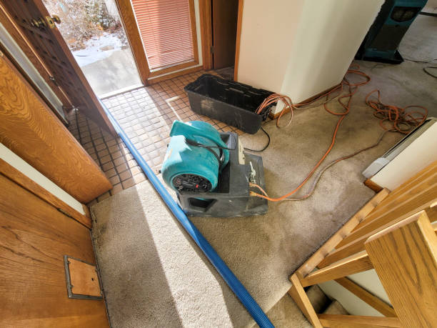 Reliable CA Water damage restoration Solutions