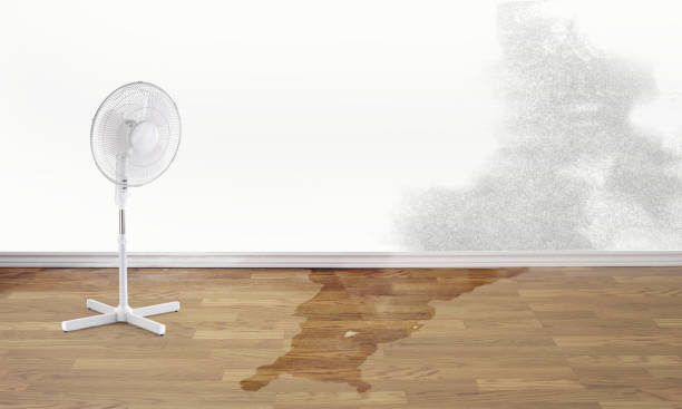 Best Carpet water damage restoration  in East San Gabriel, CA
