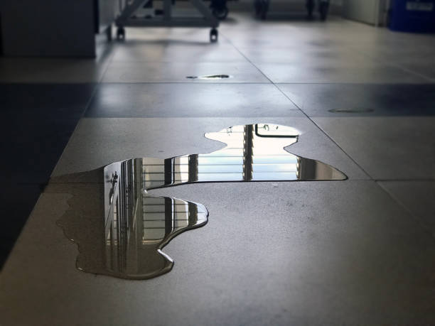 Best Professional water damage repair  in East San Gabriel, CA